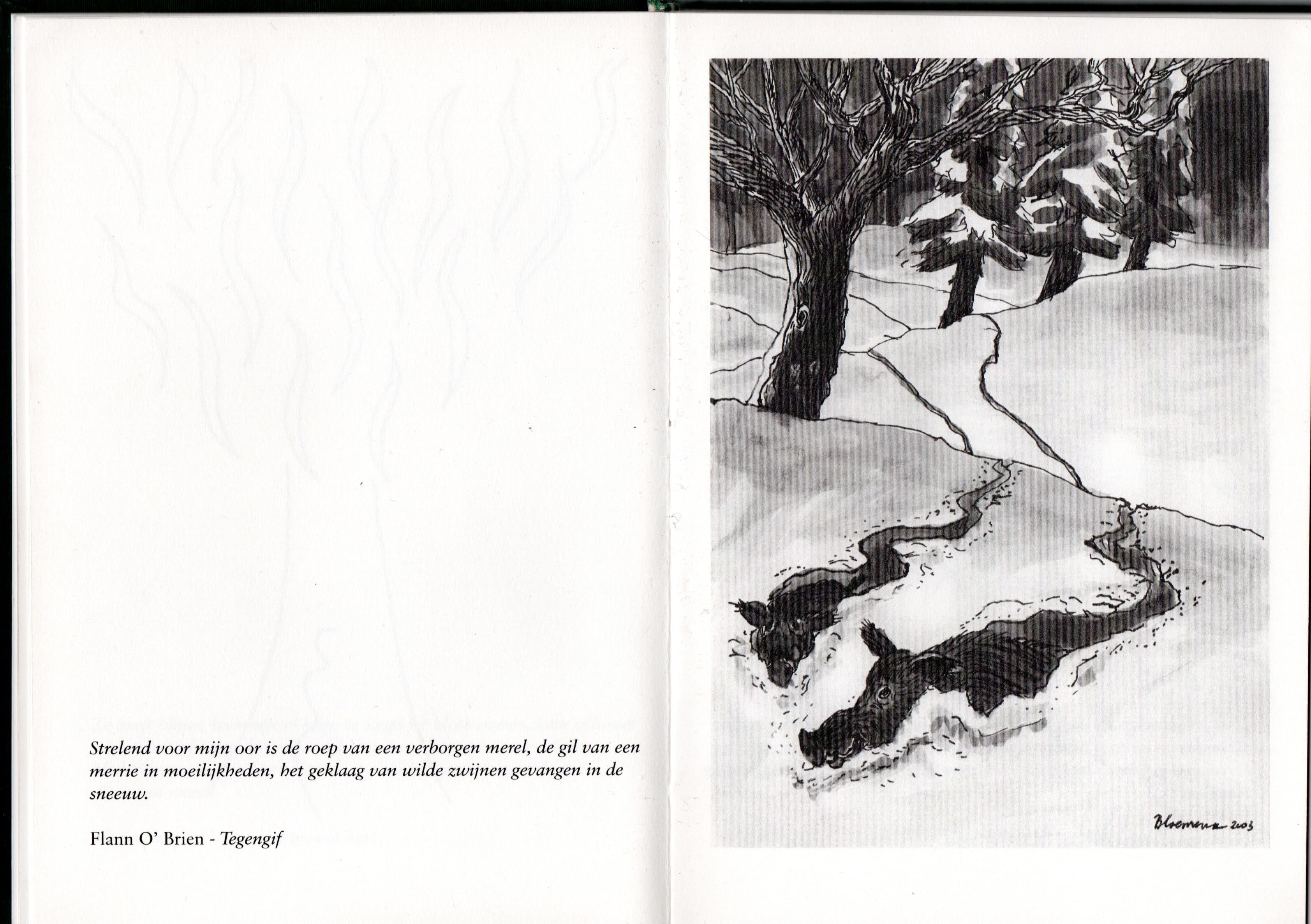 'Uit Fauna en Flora'