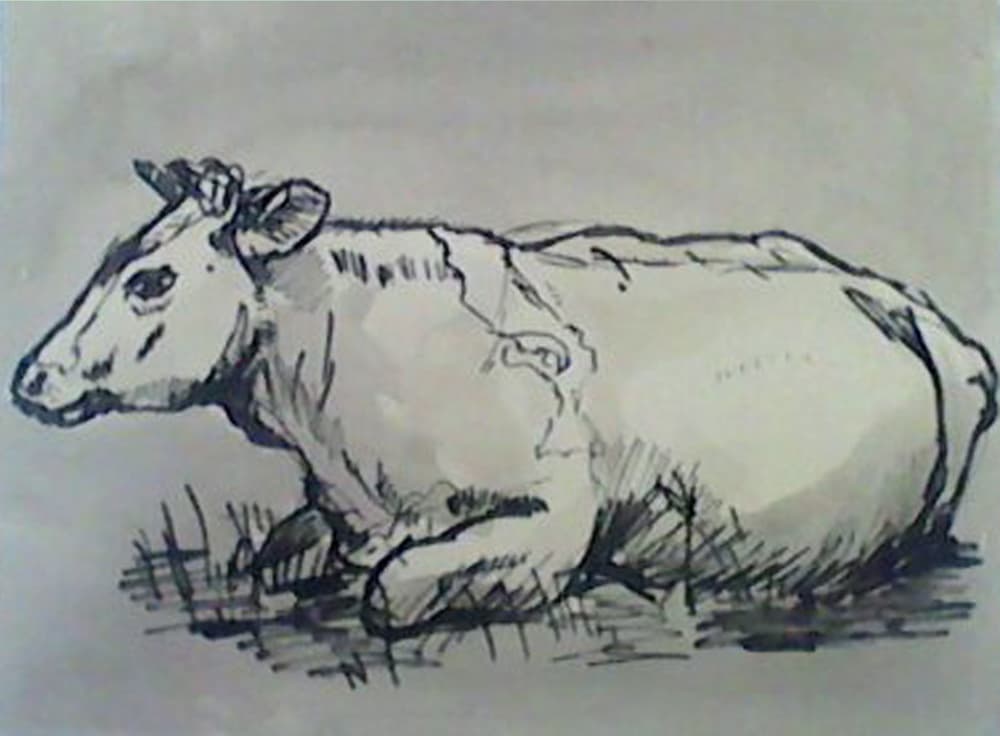 Koe