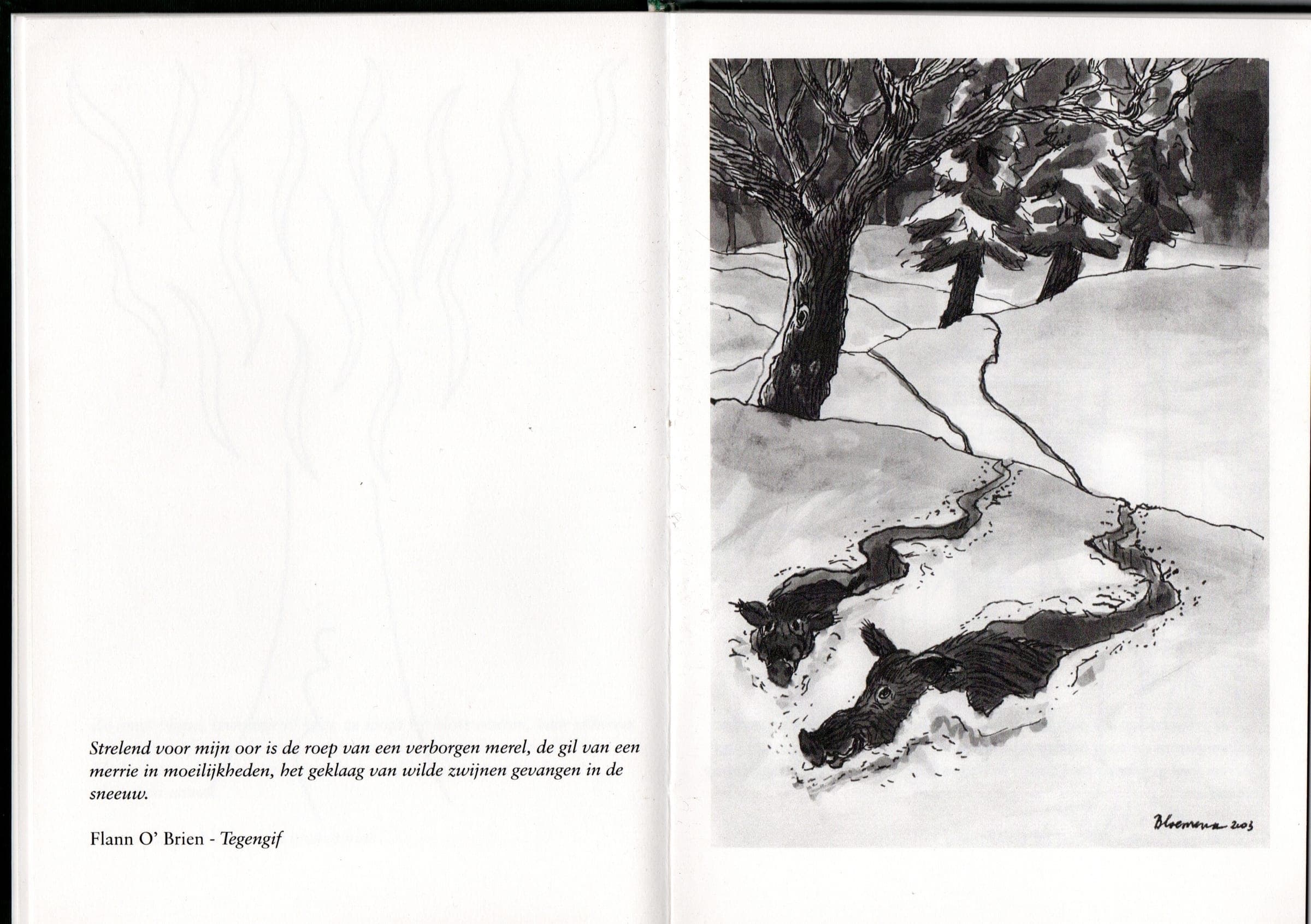 'Uit Fauna en Flora'