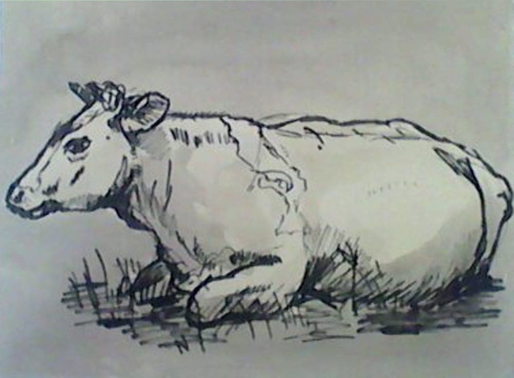 Koe